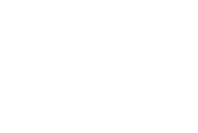 Microsoft Partner Logo