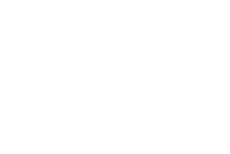 Strapi Logo